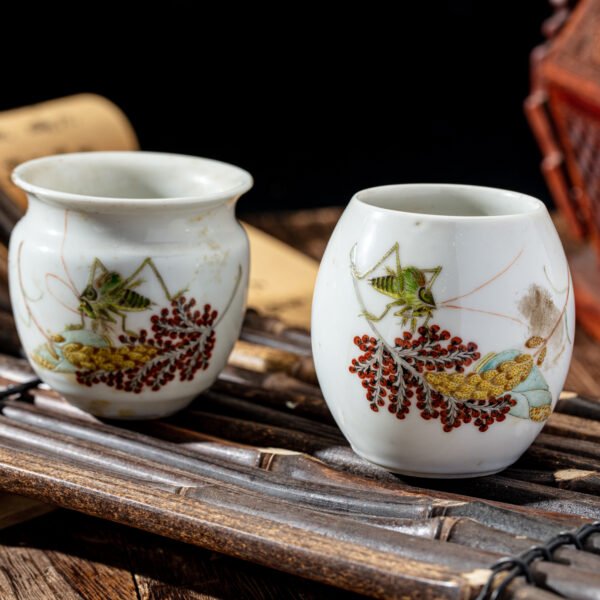 sol&cricket- kind of a bird can